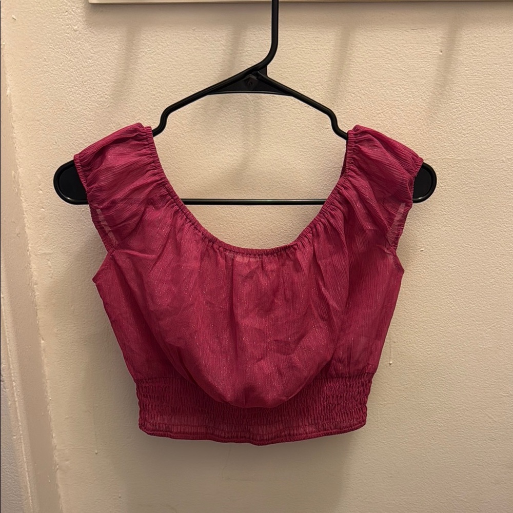 Sparkly Y2K Boho Fuchsia Sparkly Peasant Crop Top